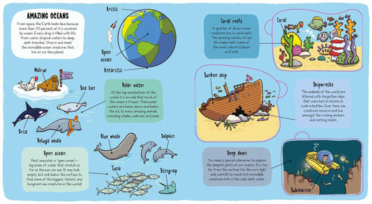 Little Explorers: Under the Sea Hardcover