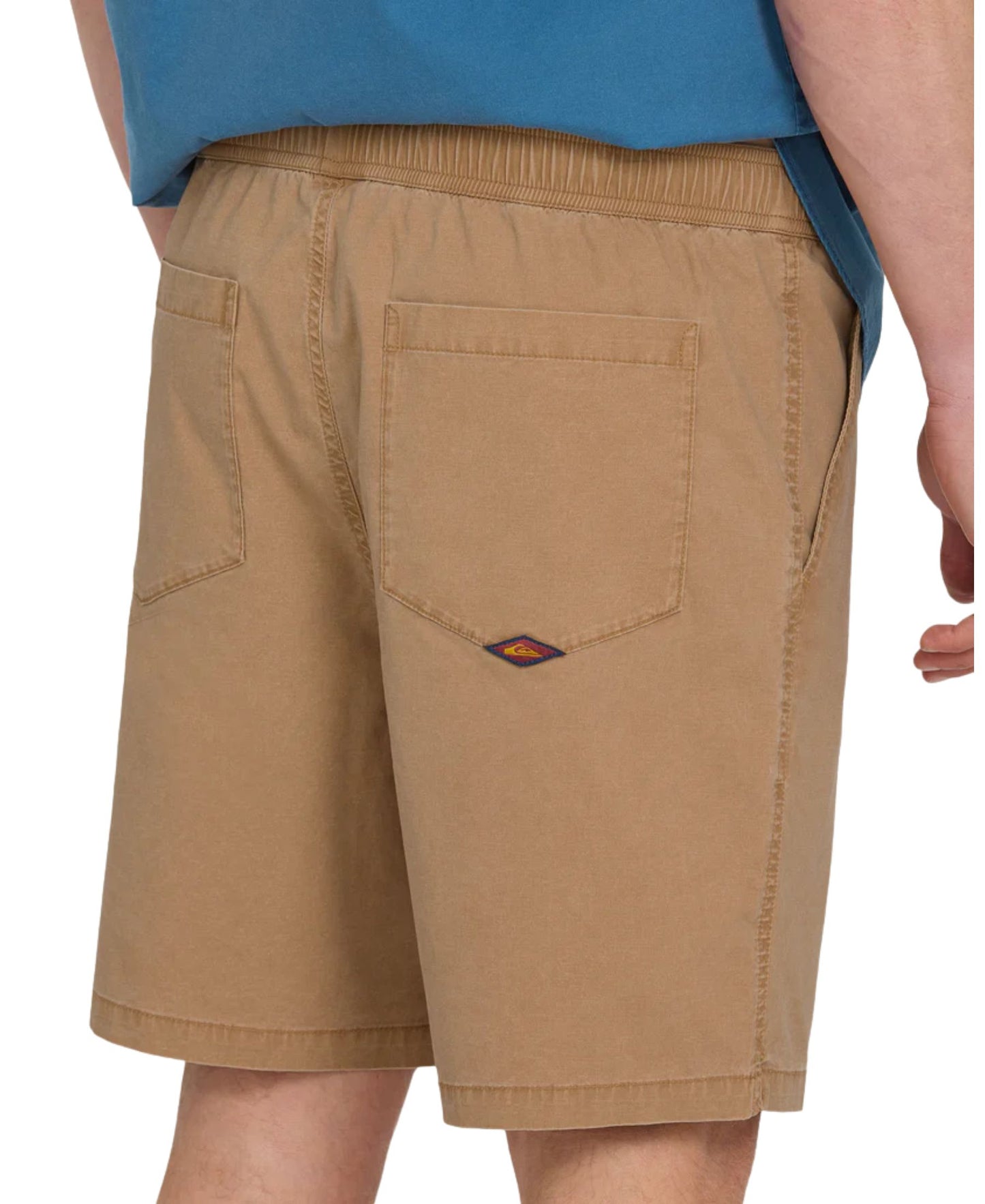 Quiksilver Saltwater Shorts
