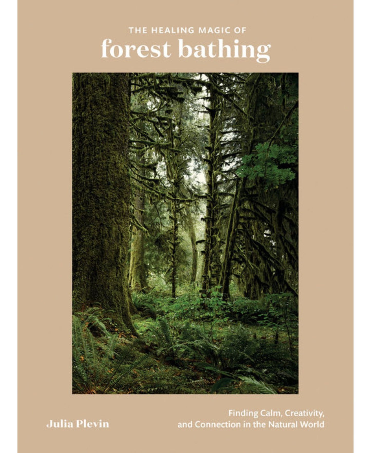 The Healing Magic of Forest Bathing