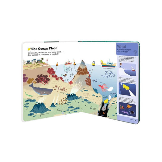 Do You Know?: Oceans and Marine Life Hardcover