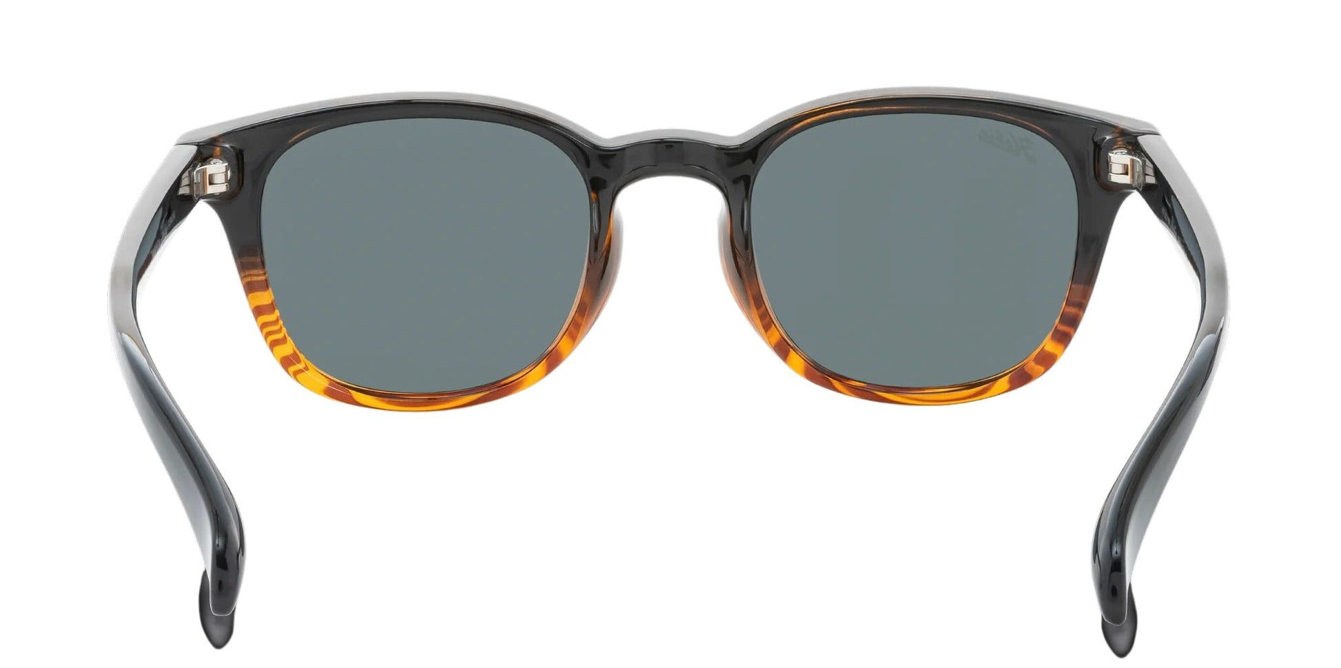 Hobie Polarized Wrights Shiny Black & Wood Grain Fade Sunglasses - Black Woodgrain