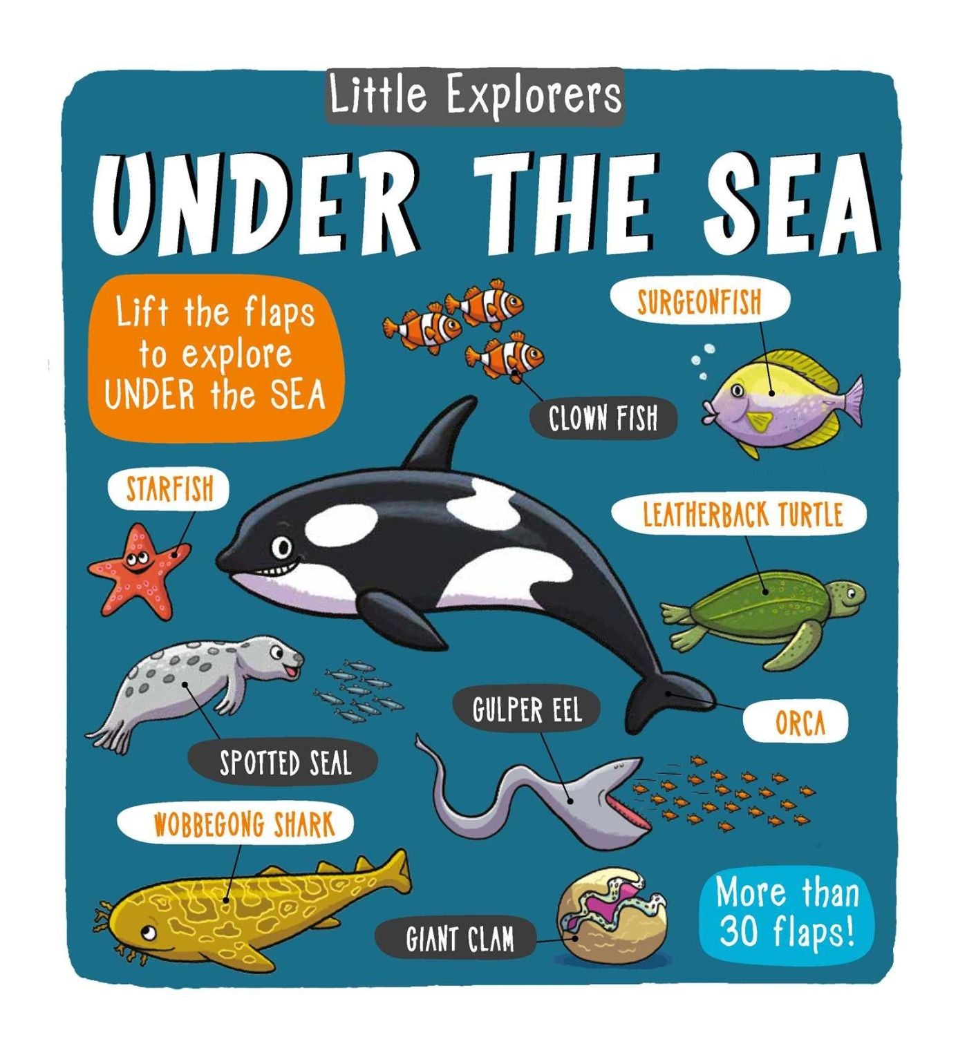 Little Explorers: Under the Sea Hardcover 