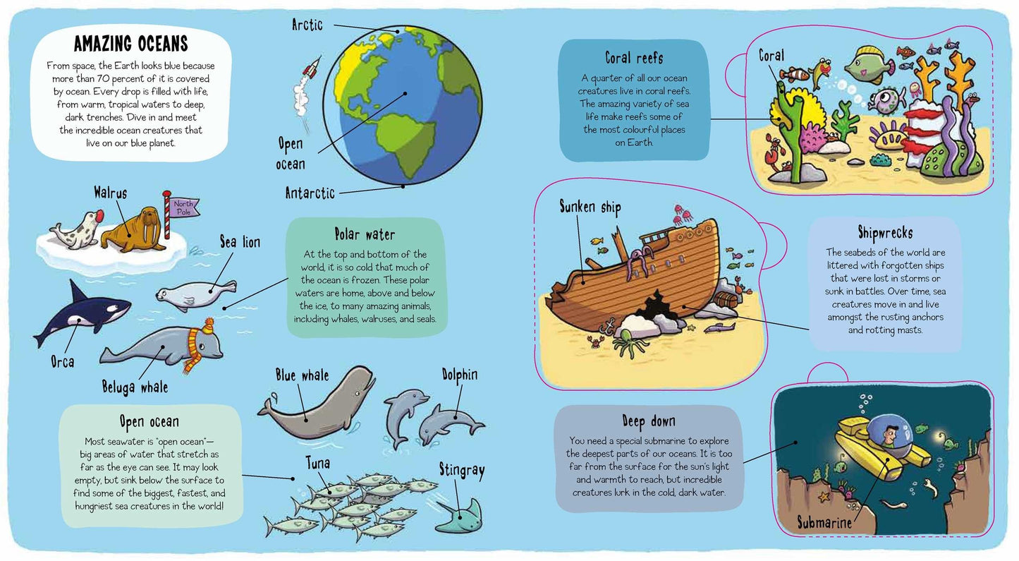Little Explorers: Under the Sea Hardcover 