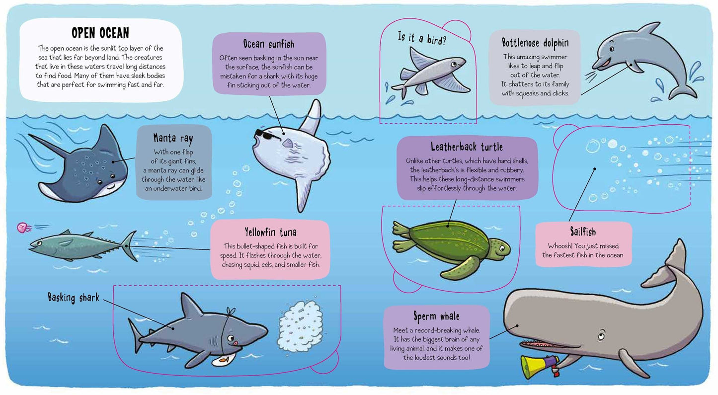 Little Explorers: Under the Sea Hardcover 