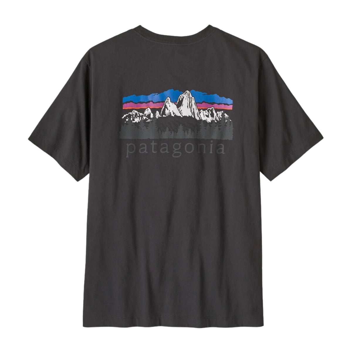 Patagonia Men's Fitz Roy Foothills T-Shirt