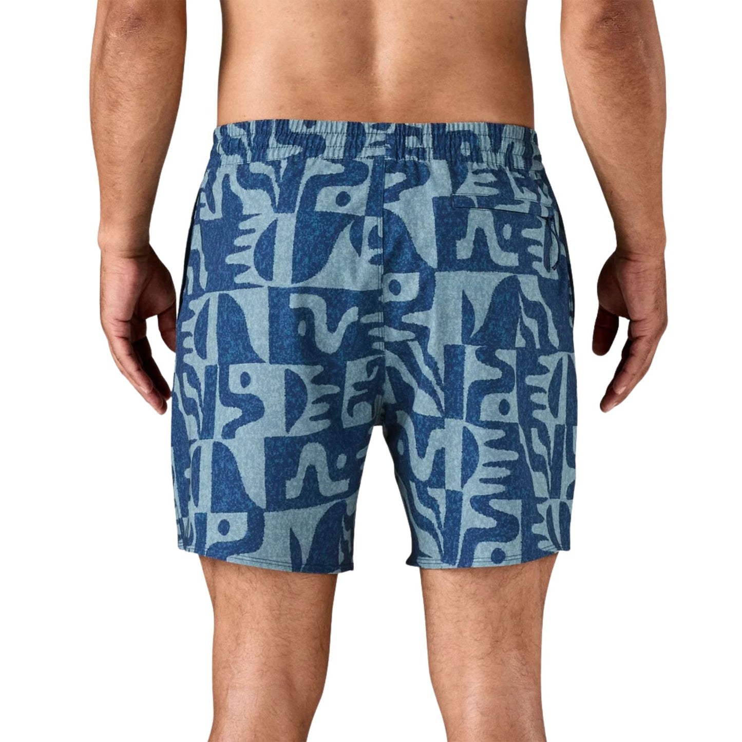Patagonia Men's Hydropeak Volley Shorts - 16" - Mother Tree: Clement Blue