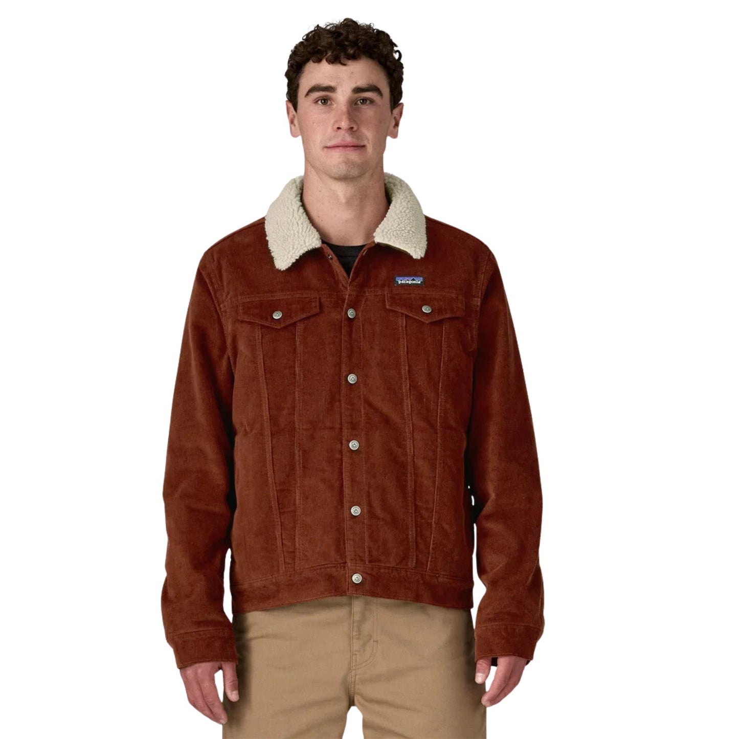 Patagonia Men's Pile-Lined Trucker Jacket - Dried Vanilla