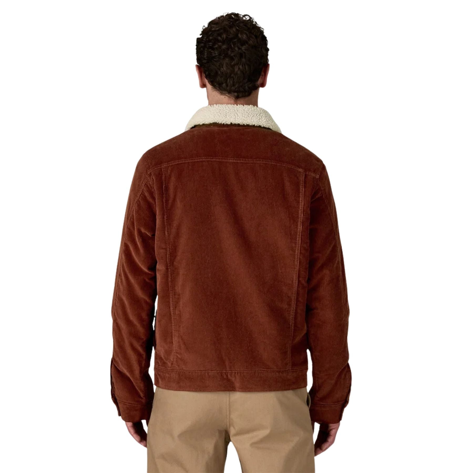Patagonia Men's Pile-Lined Trucker Jacket - Dried Vanilla