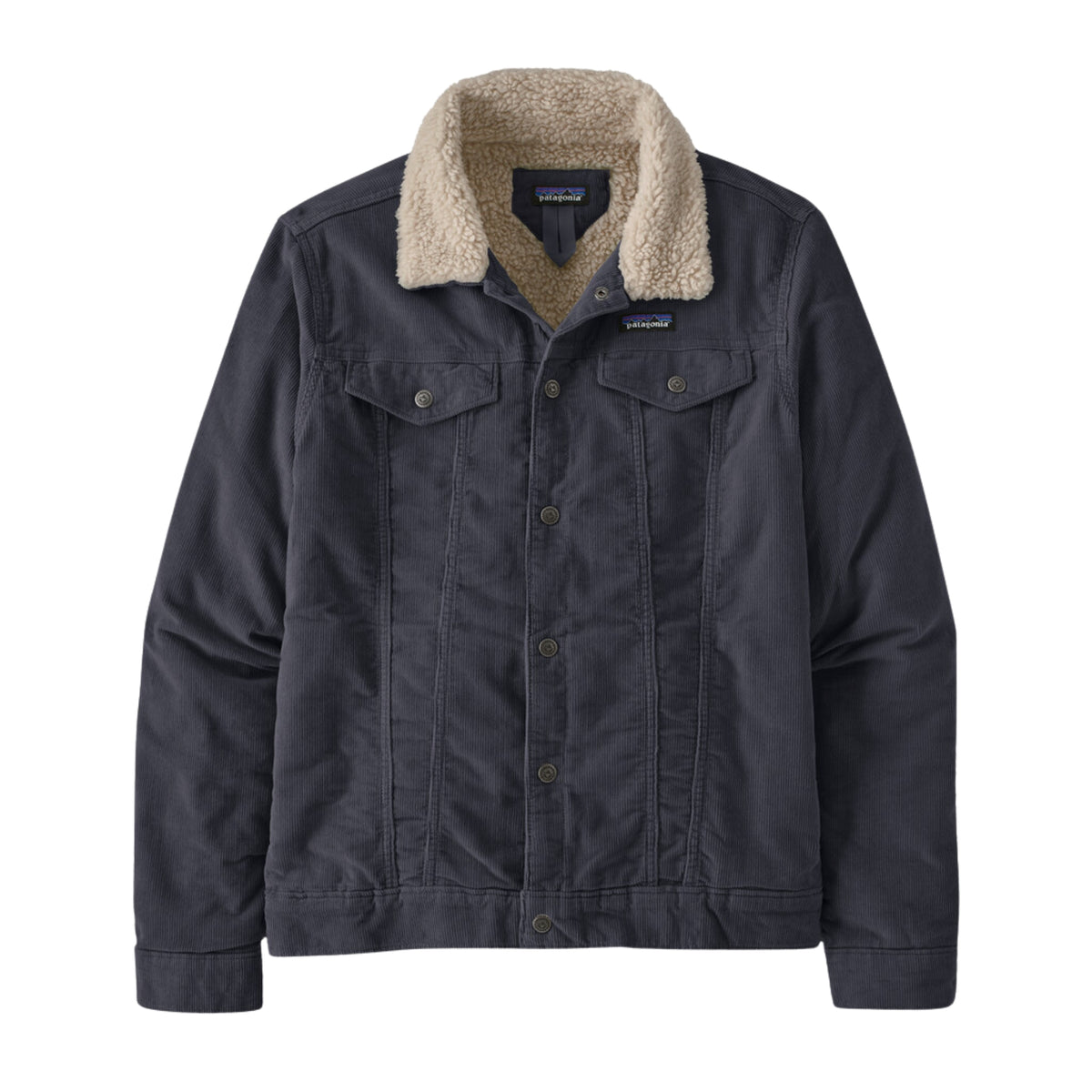 Patagonia Men's Pile-Lined Trucker Jacket - Smolder Blue