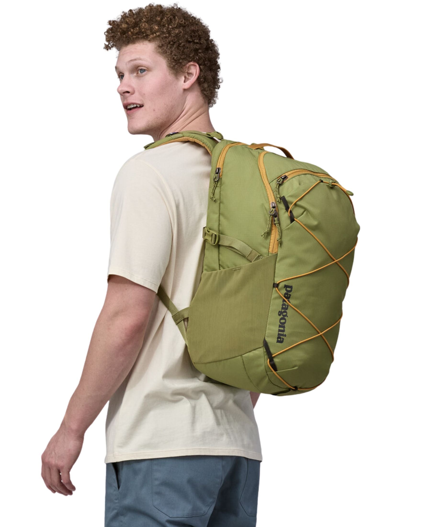Patagonia Refugio Daypack 30L - Buckhorn Green