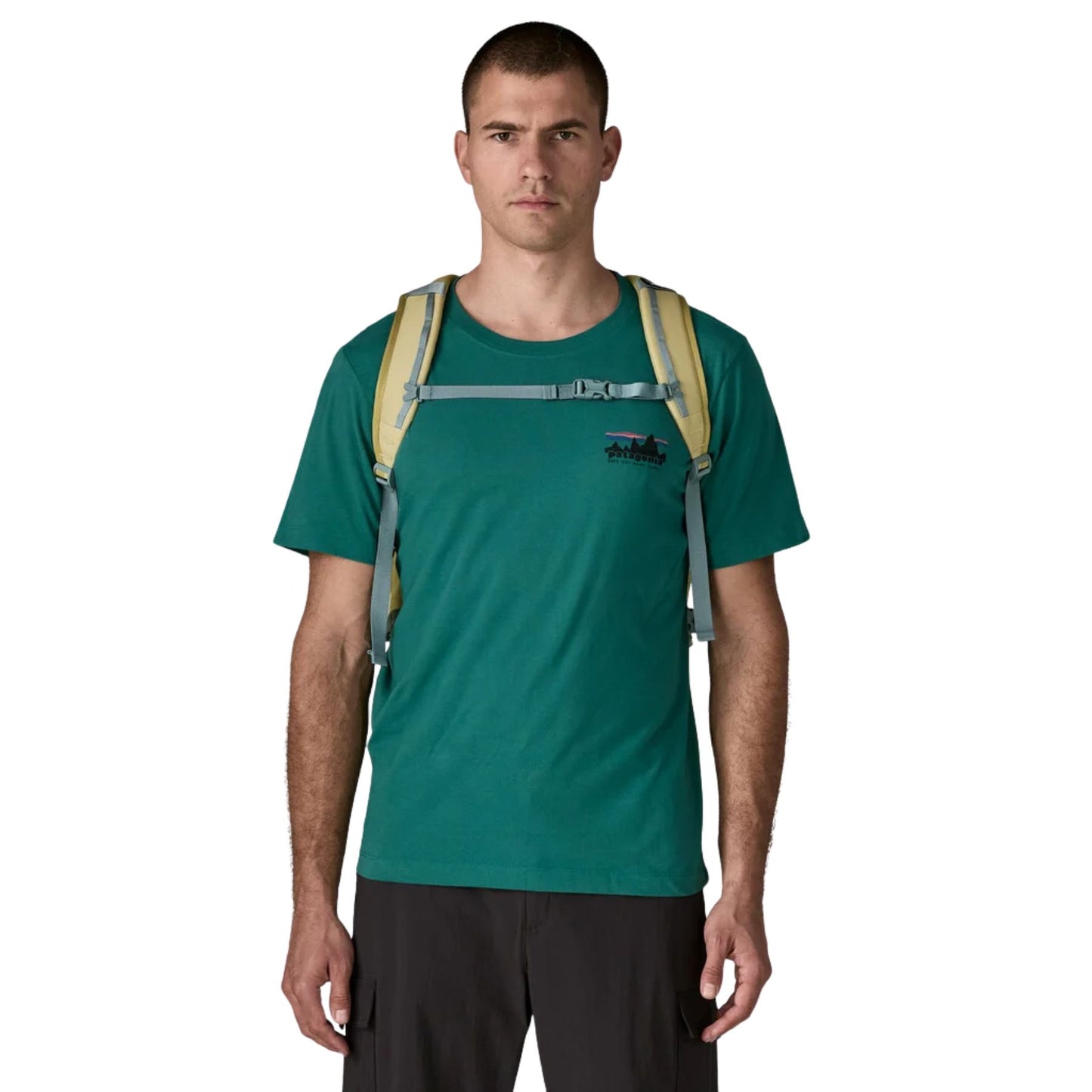 Patagonia Refugio Daypack 30L - Weathered Stone