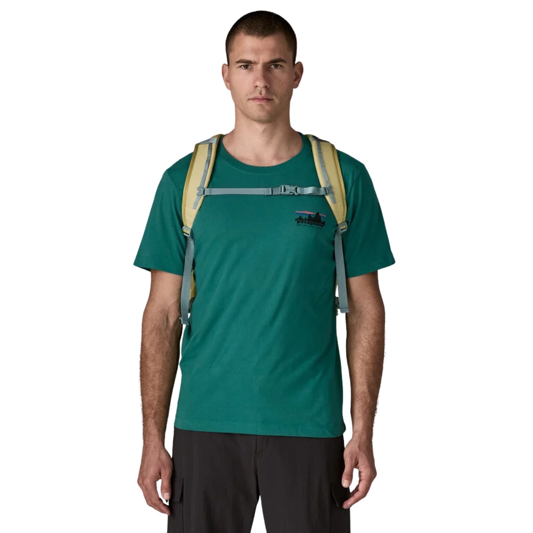 Patagonia Refugio Daypack 30L - Weathered Stone