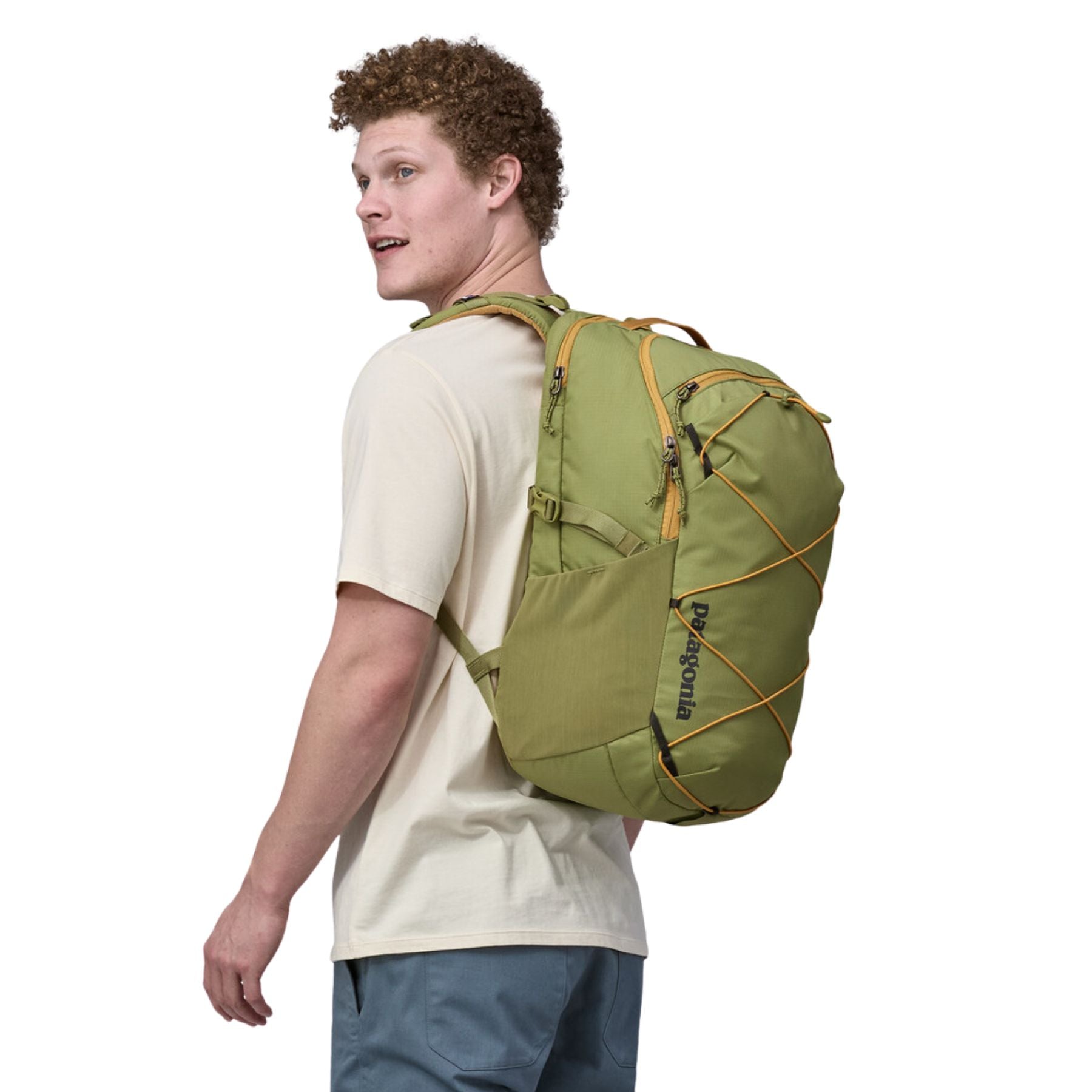 Patagonia Refugio Daypack 30L