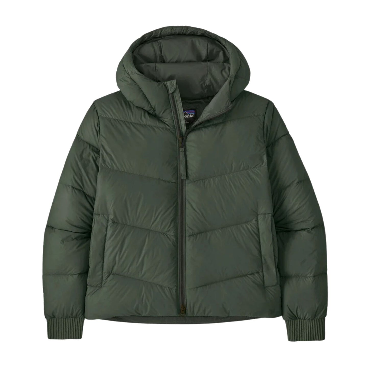 Patagonia Women's Sindit Hoody Jacket - Old Growth Green