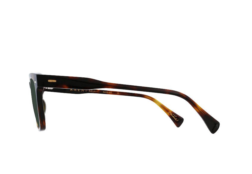Raen Adin Kola Tortoise & Green Polarized Sunglasses