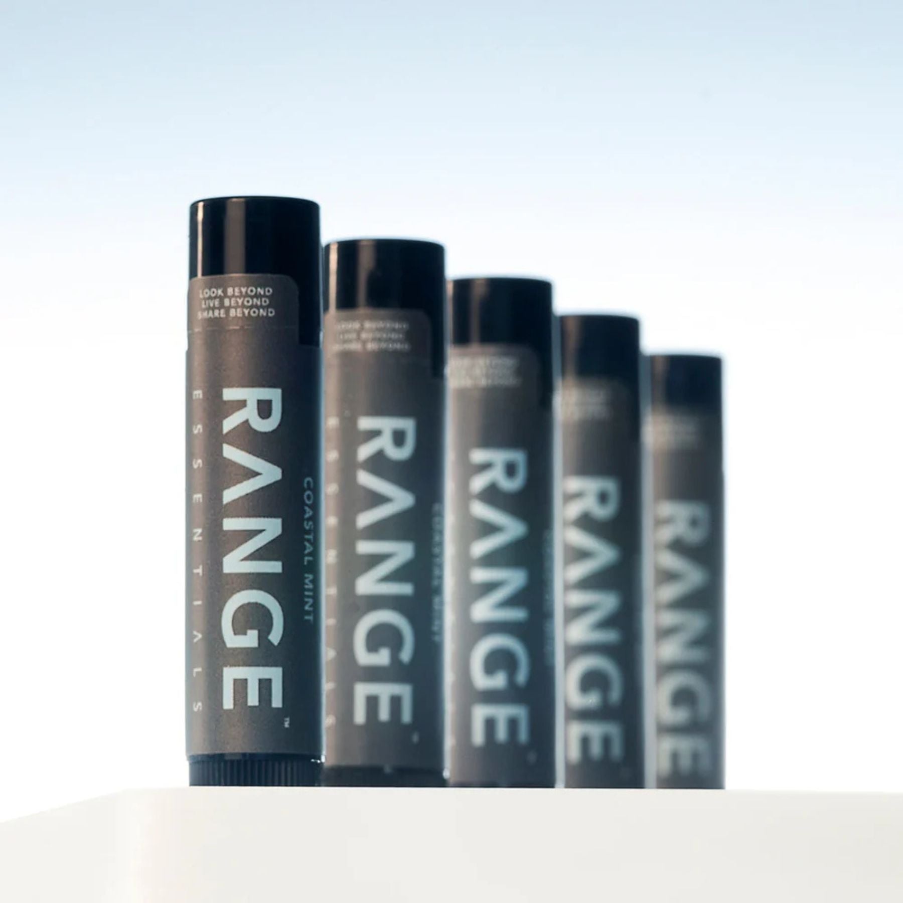 Range Essentials Coastal Mint Lip Balm