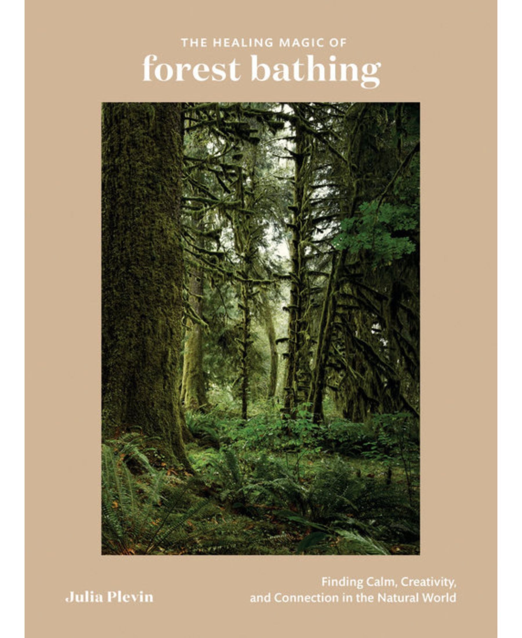 The Healing Magic of Forest Bathing 