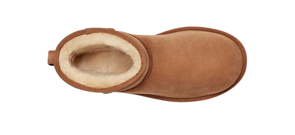 Ugg Women's Classic Mini II Boot - Chesnut