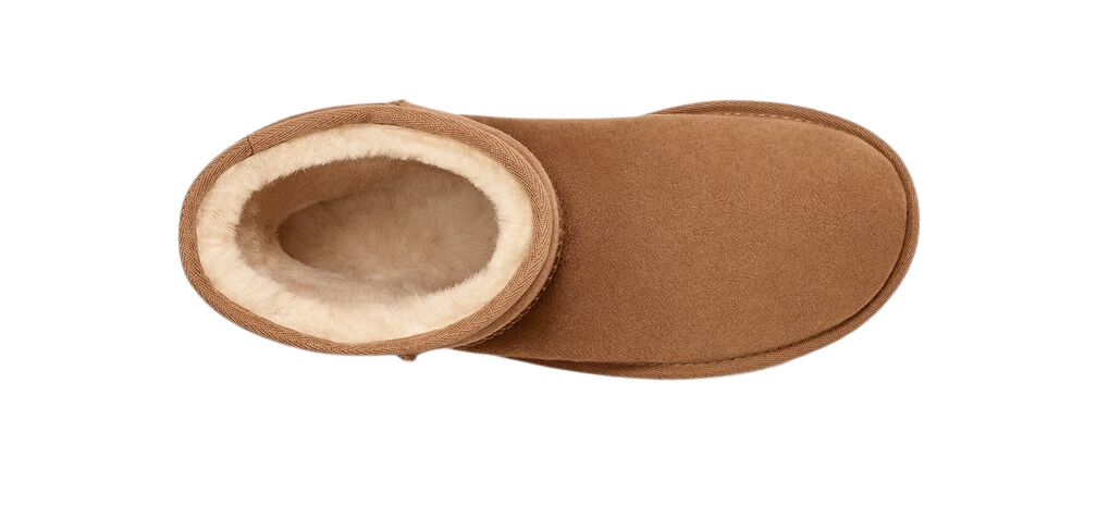 Ugg Women's Classic Short II Boot  - Chesnut