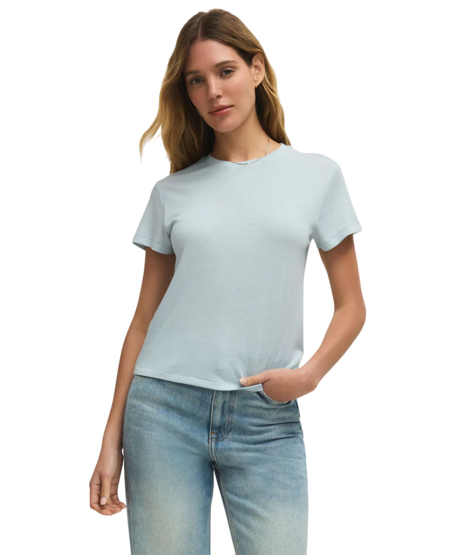 Z Supply Tourist Knit Jersey Tee - Rain