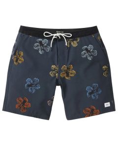 Katin Boys Dreamboat Hybrid Trunk