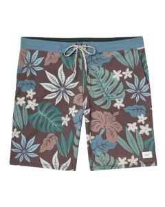Katin Oasis Hybrid Trunk