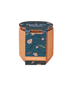 Modern Sprout Thank You Daisies Tiny Terracotta Kit