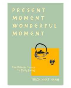 present moment wonderful moment