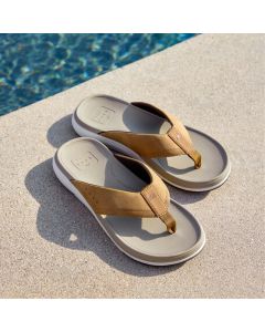 Reef Cushion Norte Tan Men's Sandals