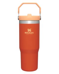 Stanley ice flow flip straw 30oz tumbler