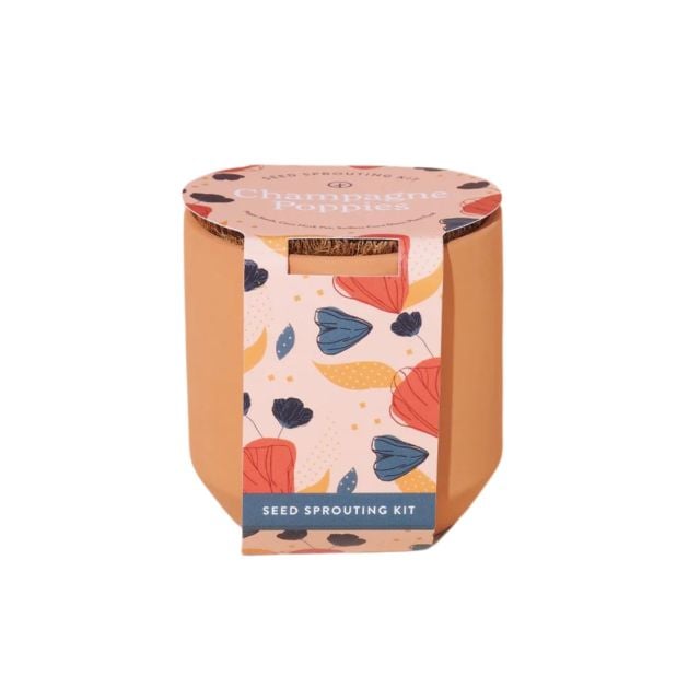 Modern Sprout Champagne Poppies Tiny Terracotta Kit