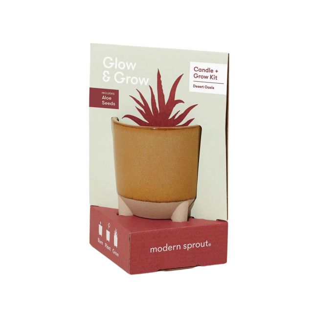 Modern Sprout Desert Oasis Glow & Grow Kit