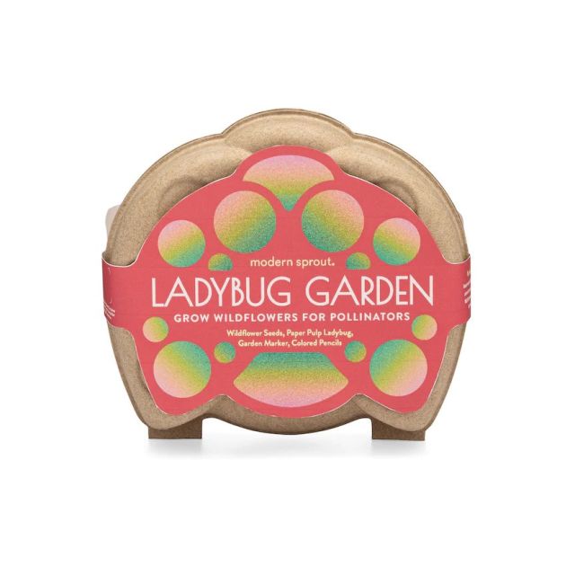Modern Sprout Ladybug Curious Critter Garden Kit