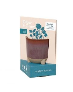 Modern Sprout Wildflower Fields Glow & Grow Kit
