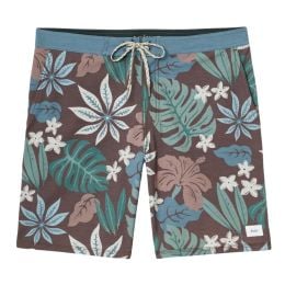 Katin Oasis Hybrid Trunk