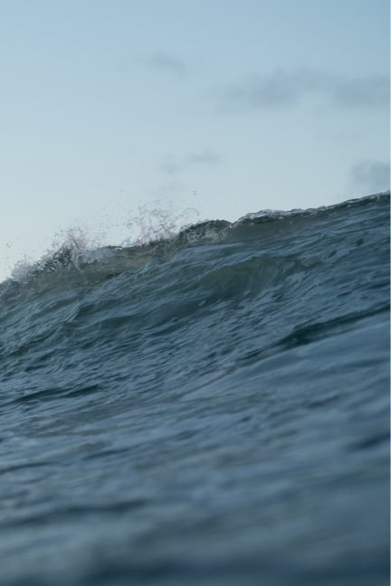 Image of A Girl Wearing  A Hobie Shirt