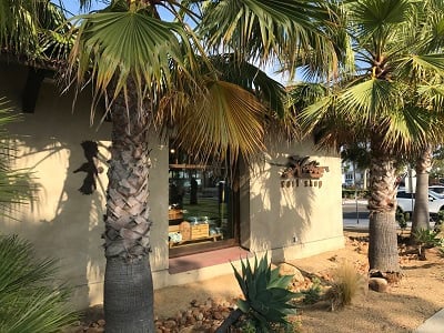 palm trees outside of the hobie dana point store